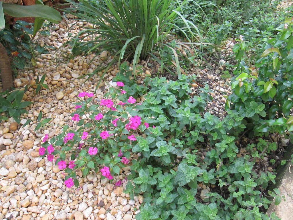 Pousada As Reliquias De Minas Tiradentes Ngoại thất bức ảnh