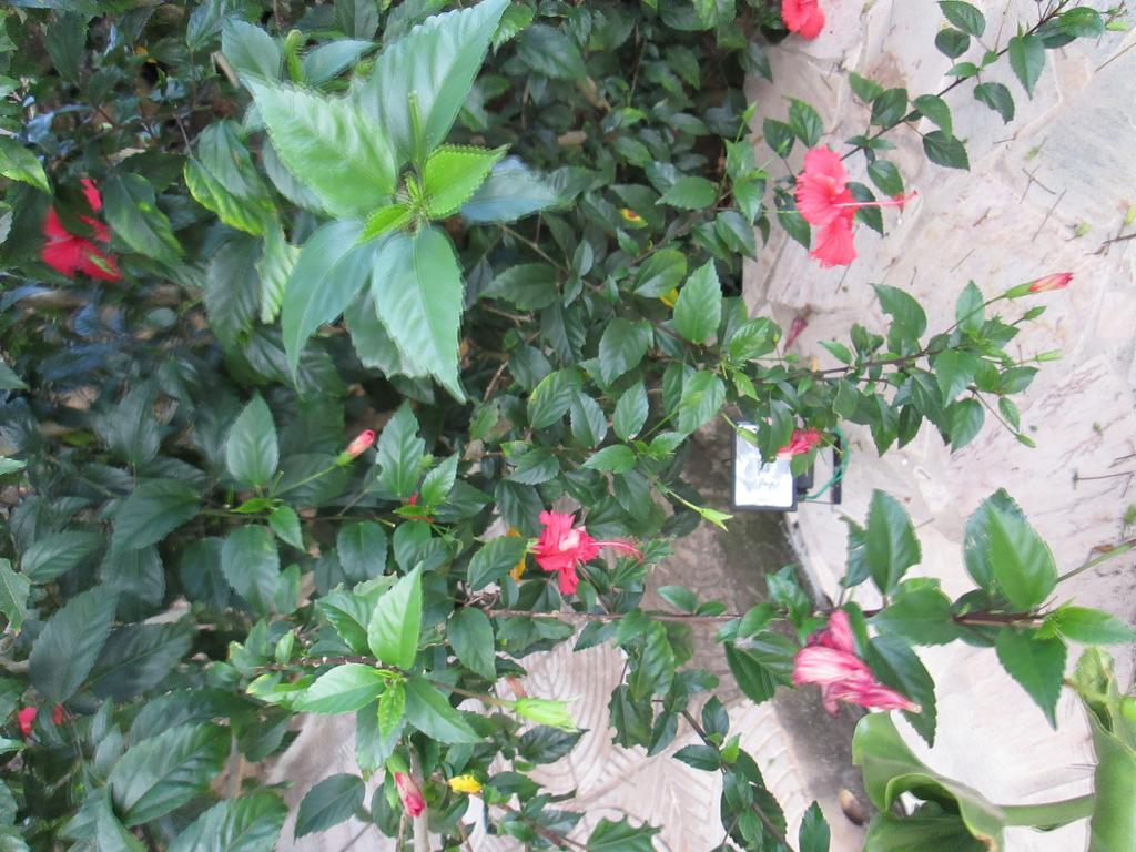 Pousada As Reliquias De Minas Tiradentes Ngoại thất bức ảnh